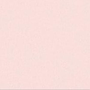 Meet your Posher, Ariyanna